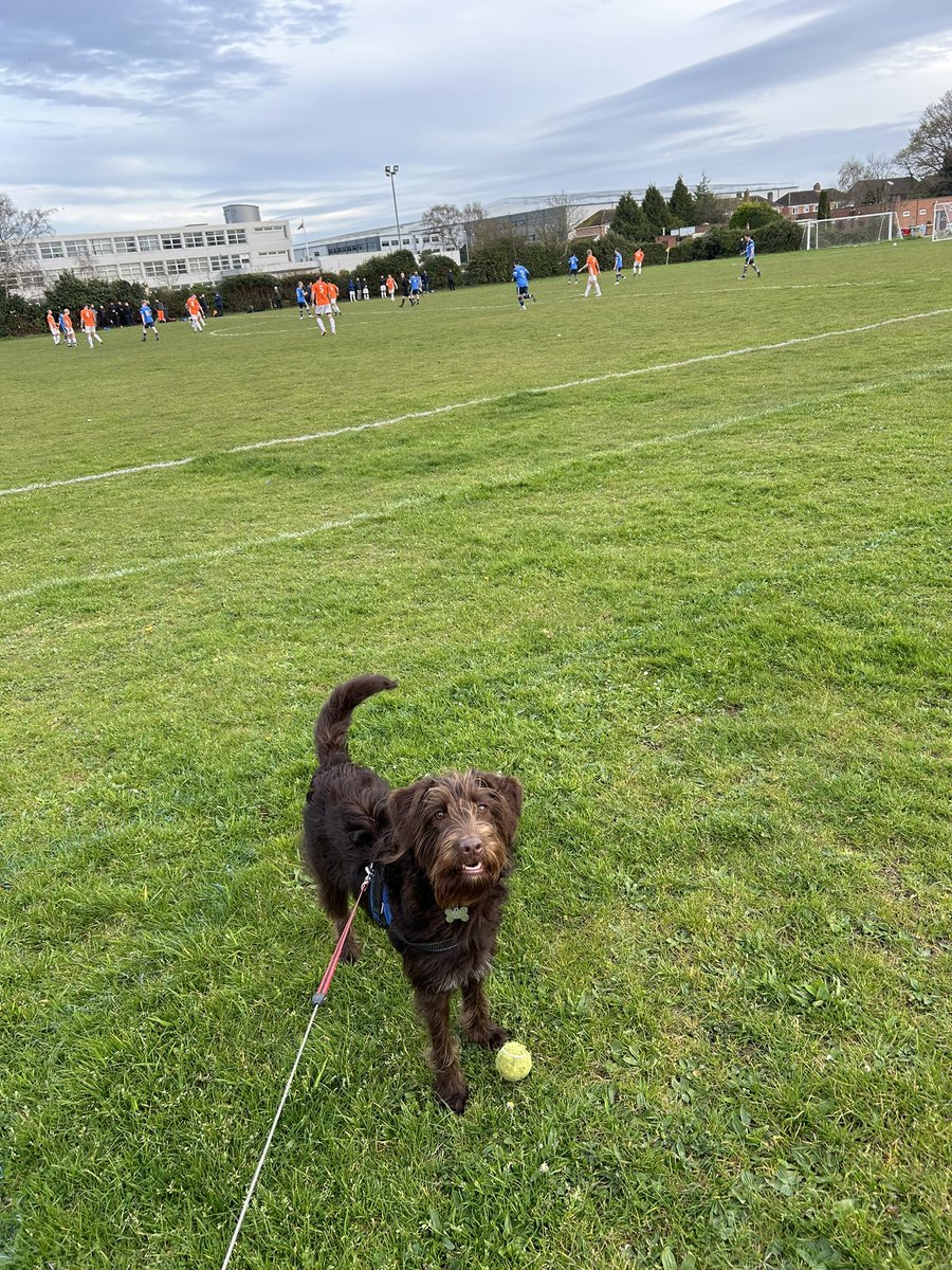 Pluto on Wednesday watching @ECA_FC v @EastXchSSCFC @nonleaguedogs