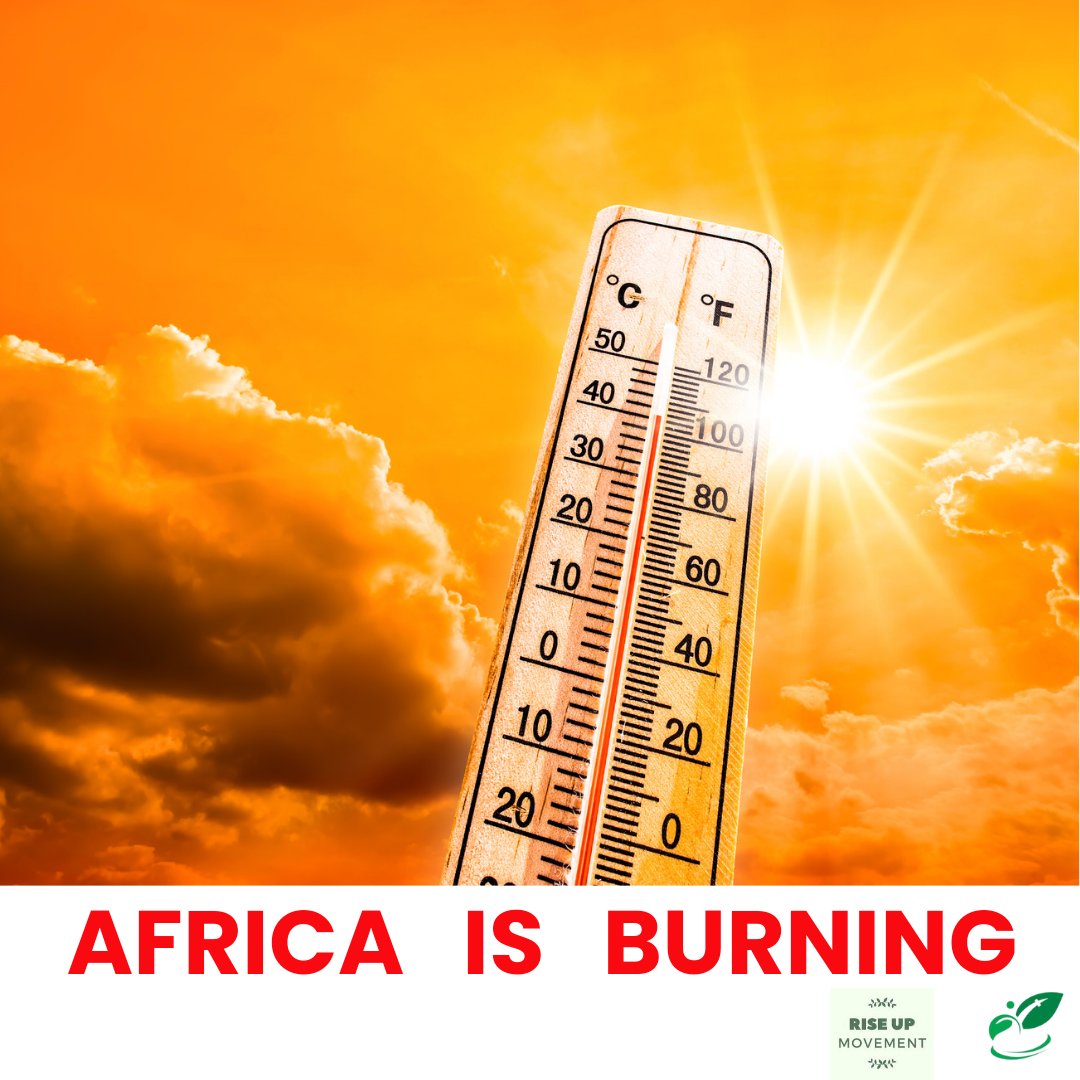 Some West African countries are  facing a serious situation with temperatures at 84.67°F threatening agriculture, which is the main livelihood. It's time to rise up and #ActNowOnHeatwaves to save West African from global boiling
#Heatwave