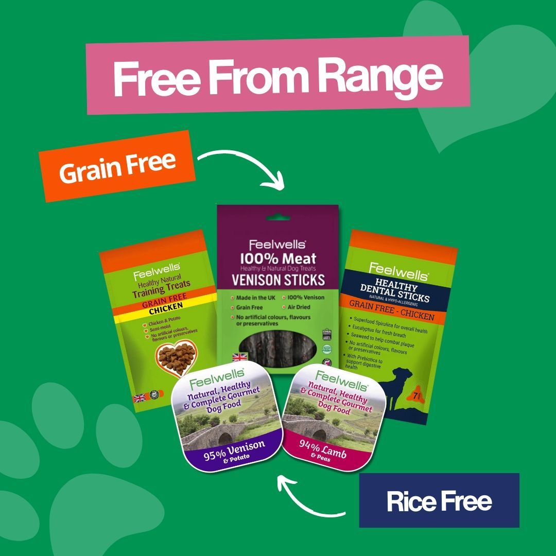 Perfect for #sensitivetummies 💚 We have #food and treats suitable for dogs who require #Grain-Free or #Rice-Free diets! The same tasty Feelwells goodies but without the ingredients that upset your dog's tummy 💚 Check out our Free From ranges here: buff.ly/3lkbemR