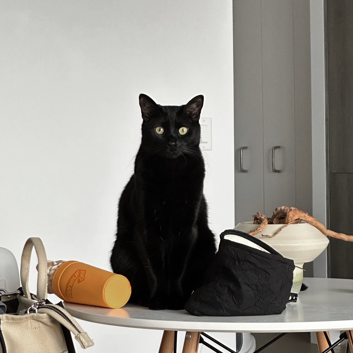 Shirley_chenn's tweet image. Dumb but Cute🥰