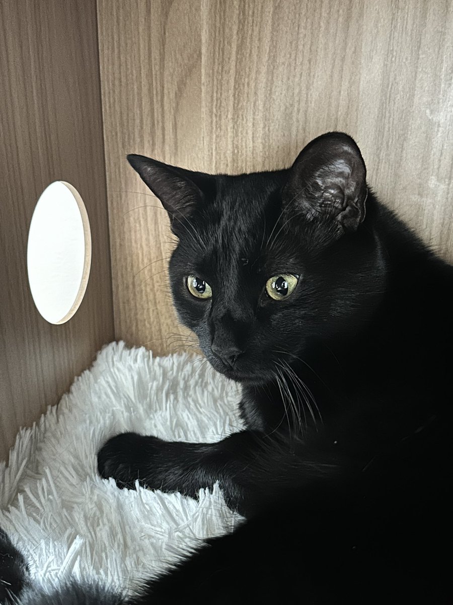 Shirley_chenn's tweet image. Plz stay with me longer