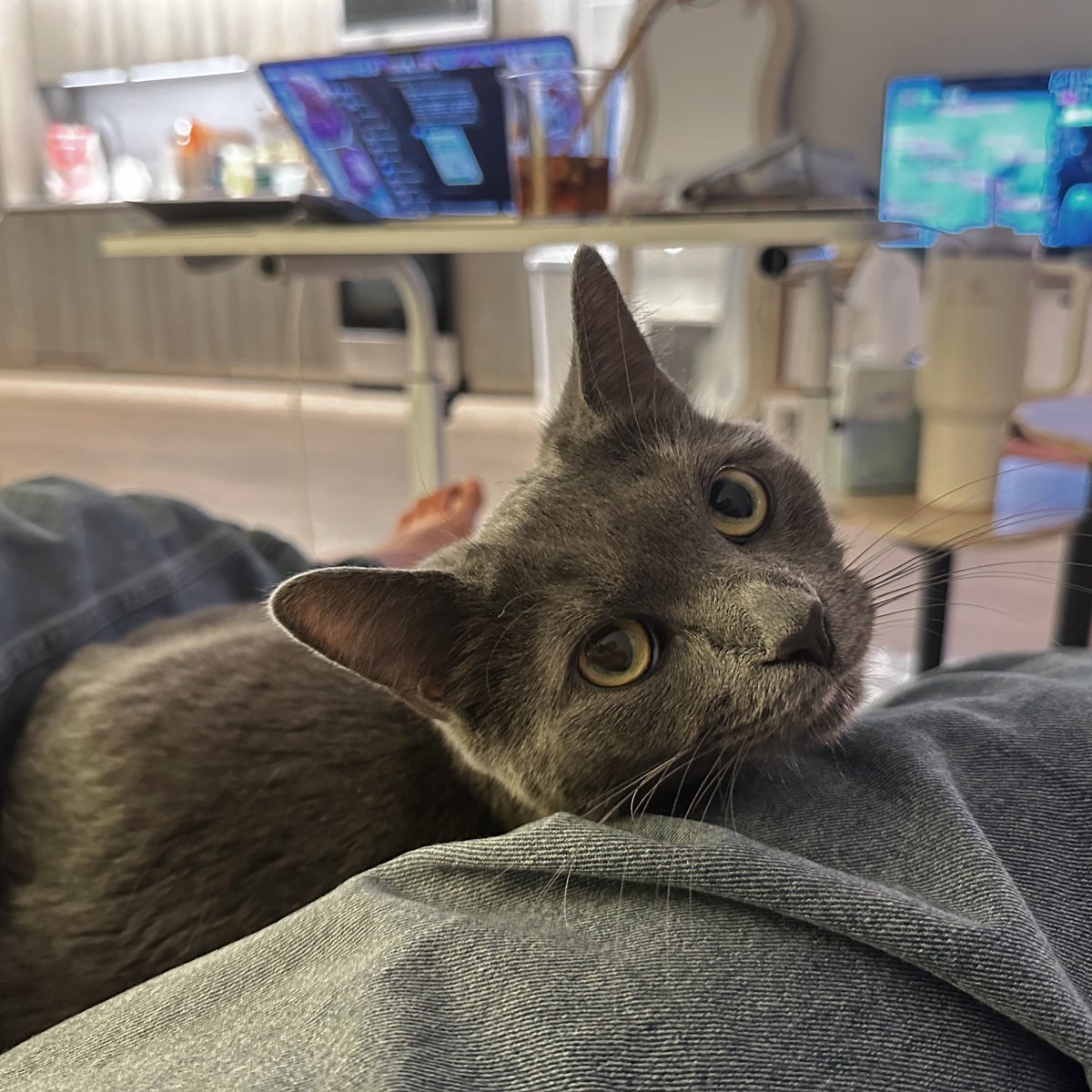 Shirley_chenn's tweet image. Plz stay with me longer