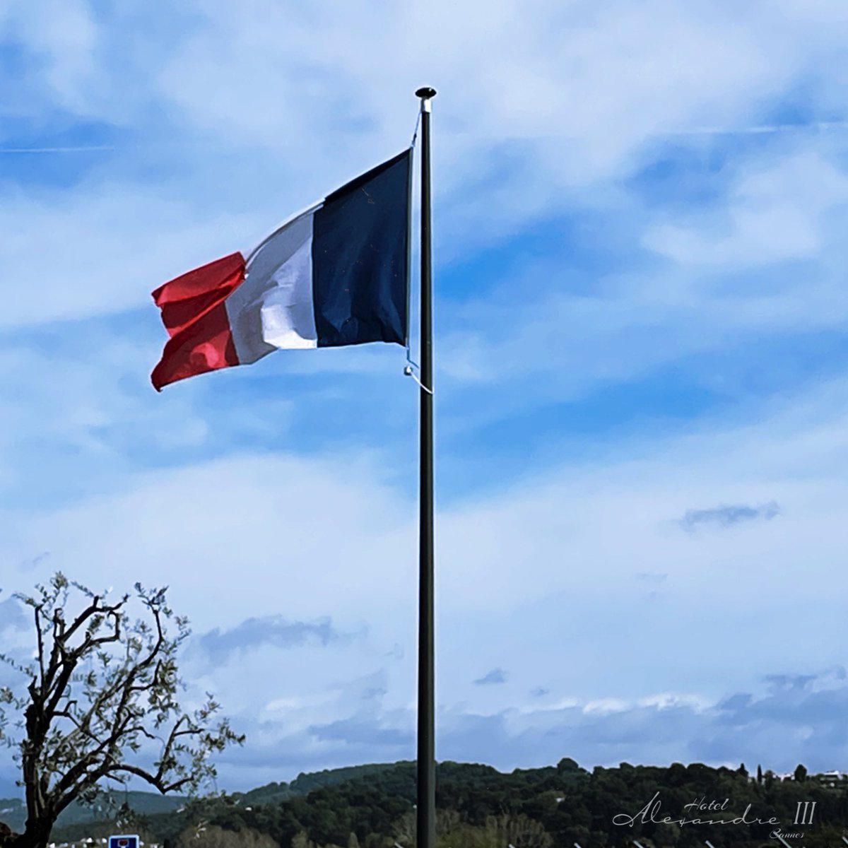 Vive. 

#vivelaFrance #cotedazurfrance #cannes #France #cannes2024 #drapeaufrancais #cannesnow #laFrance #jesuisCannes