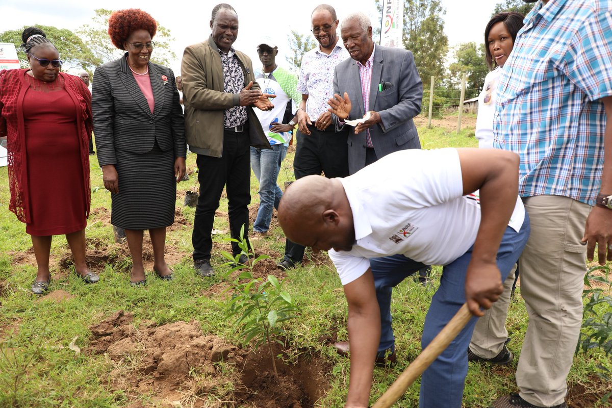 nrfkenya's tweet photo. Today, in bid to advance President's call on #TreeGrowingInitiative, we planted 500 indegineous trees at @MMUST_Kenya. Through this partnership, #NRFKe will establish seedlings nursery at the University to support the initiative. https://t.co/3L66spyPjz