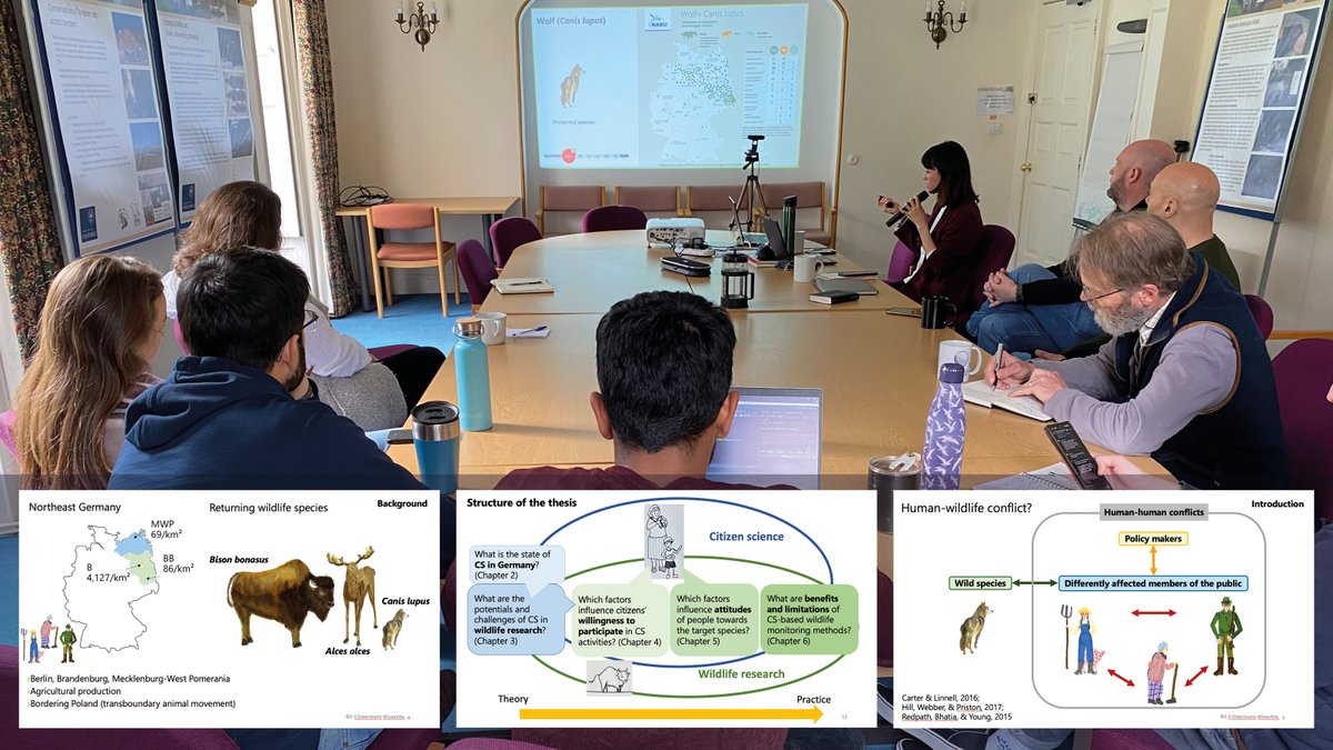 New WildCRU Postdoc @emu_felicitas gave a fascinating presentation on her work exploring the potential of #citizen #science to support human coexistence with wildlife such as #wolves, bison & moose as well assist in species monitoring. More research planned with @WWF_Deutschland
