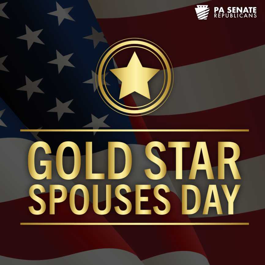 We honor and stand in solidarity with the brave spouses who have lost their loved ones in service to our nation.

Your sacrifices will never be forgotten. ⭐

#GoldStarSpousesDay #PAProud