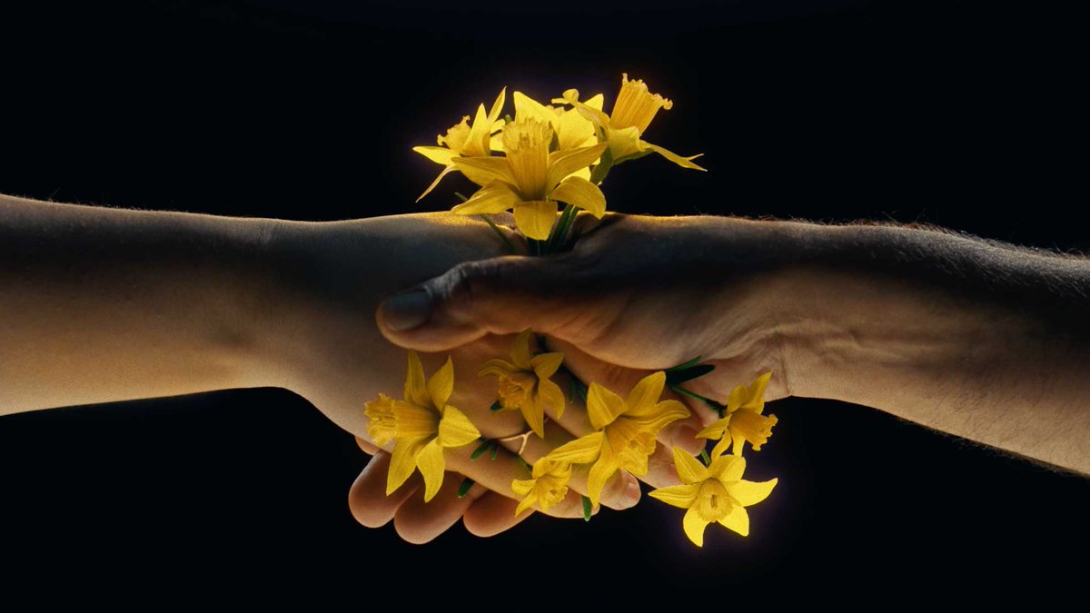 stash_magazine's tweet photo. “There’s something profoundly exciting about visualizing #hope."

@Alon_Isocianu @get_reactiv &amp; Impossible Studios conjure a striking mix of live-action &amp; #VFX for Canadian @cancersociety

Watch https://t.co/NUdcweyCtJ

#advertising #3Danimation #houdini @sidefx #design #Cancer https://t.co/tsJ1Gr1C3Y