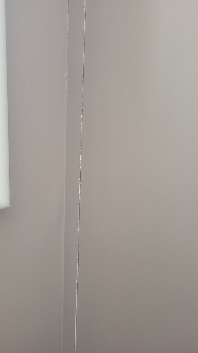 Liz Bishop tweet media