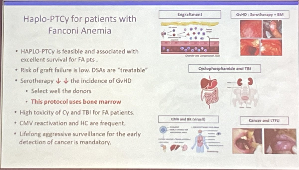 Carmelo Gurnari (@carmelogurnari) on Twitter photo <a href="/CarmemBonfim1/">Carmem Bonfim</a> gives an outstanding overview of transplant strategies for Fanconi Anemia at SASCeTS in Cape Town. Important clinical insights deriving from an experience stated in 1983! <a href="/CarmemBonfim1/">Carmem Bonfim</a> gives an outstanding overview of transplant strategies for Fanconi Anemia at SASCeTS in Cape Town. Important clinical insights deriving from an experience stated in 1983!