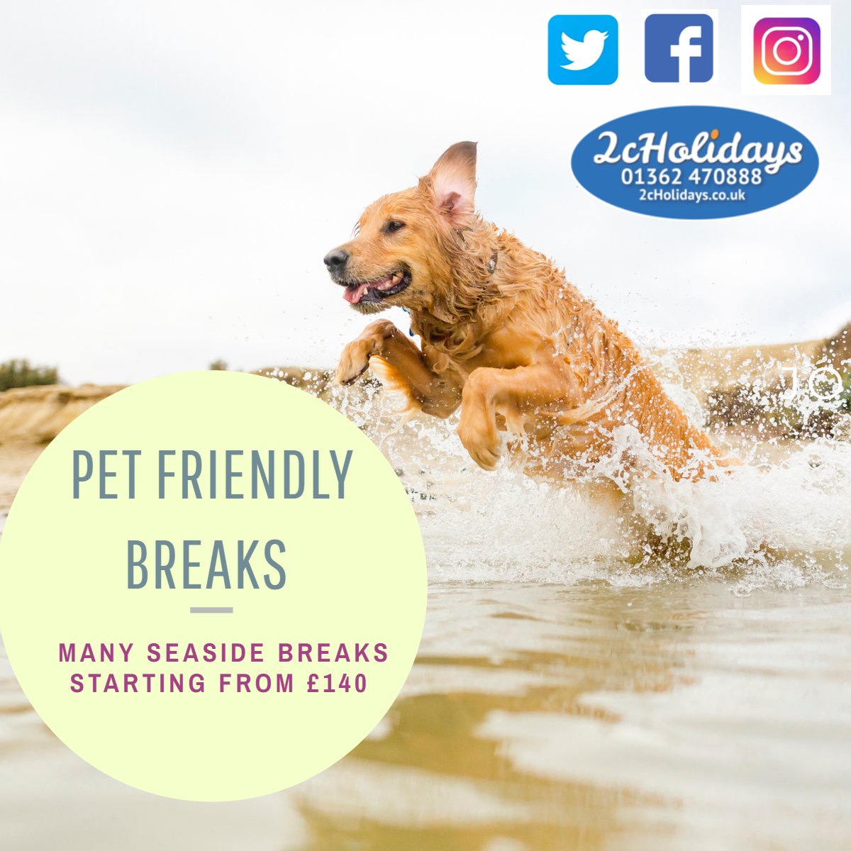 🐶🐶🐶Look no further than these dog friendly holidays that allow you to arrive and depart any day of the week! Say goodbye to feeling guilty for leaving your four-legged companion behind and say hello to endless adventures with your pup by your side.
#petfriendlytravel