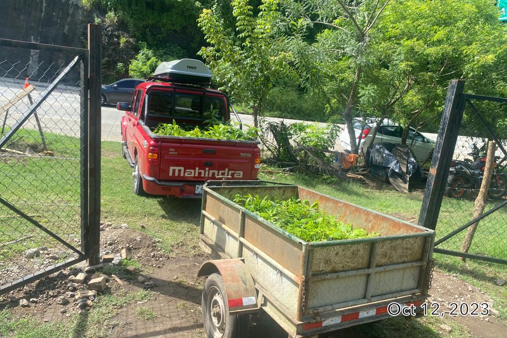 Restauremos los márgenes del Río El Tacuazín el cual desemboca en Playa El Amatal. Contáctanos al 7003-7868