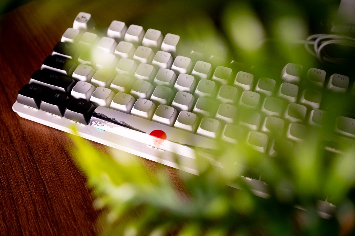 DARK PROJECT tweet media