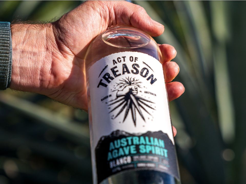 Fiasco Design tweet media