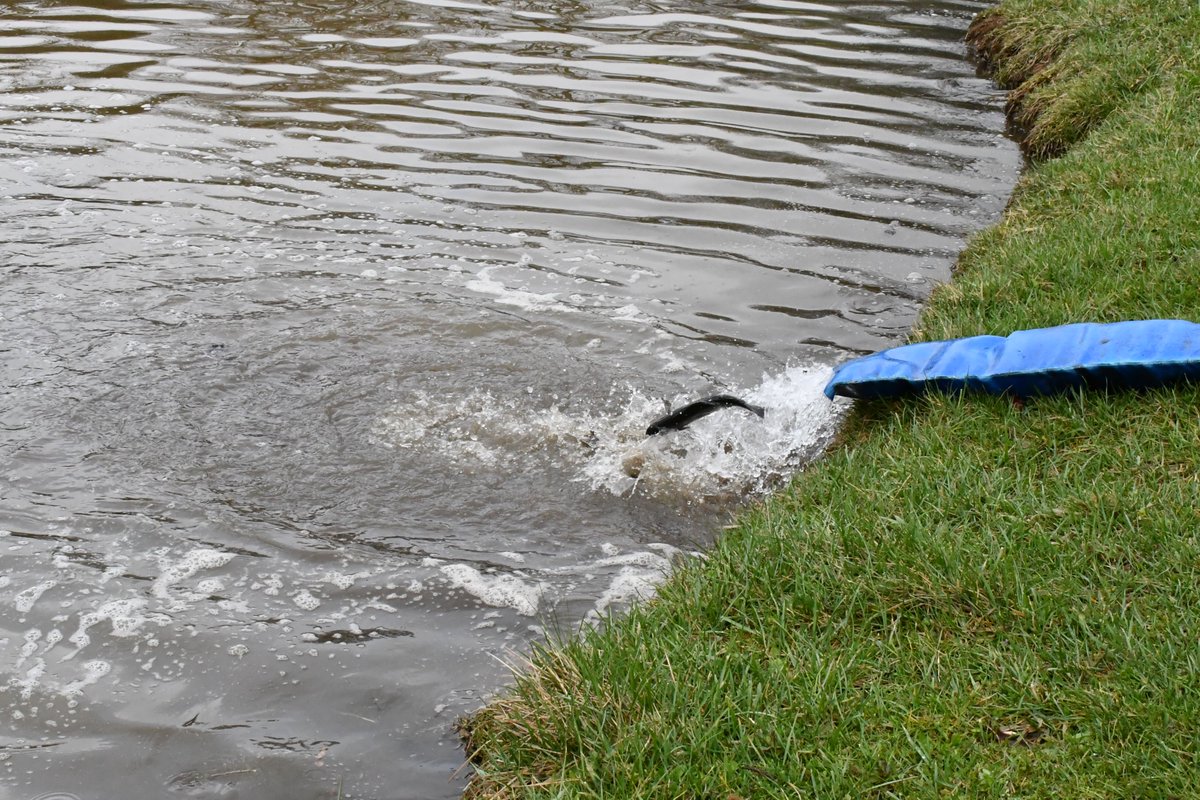 Canton Parks and Recreation tweet media