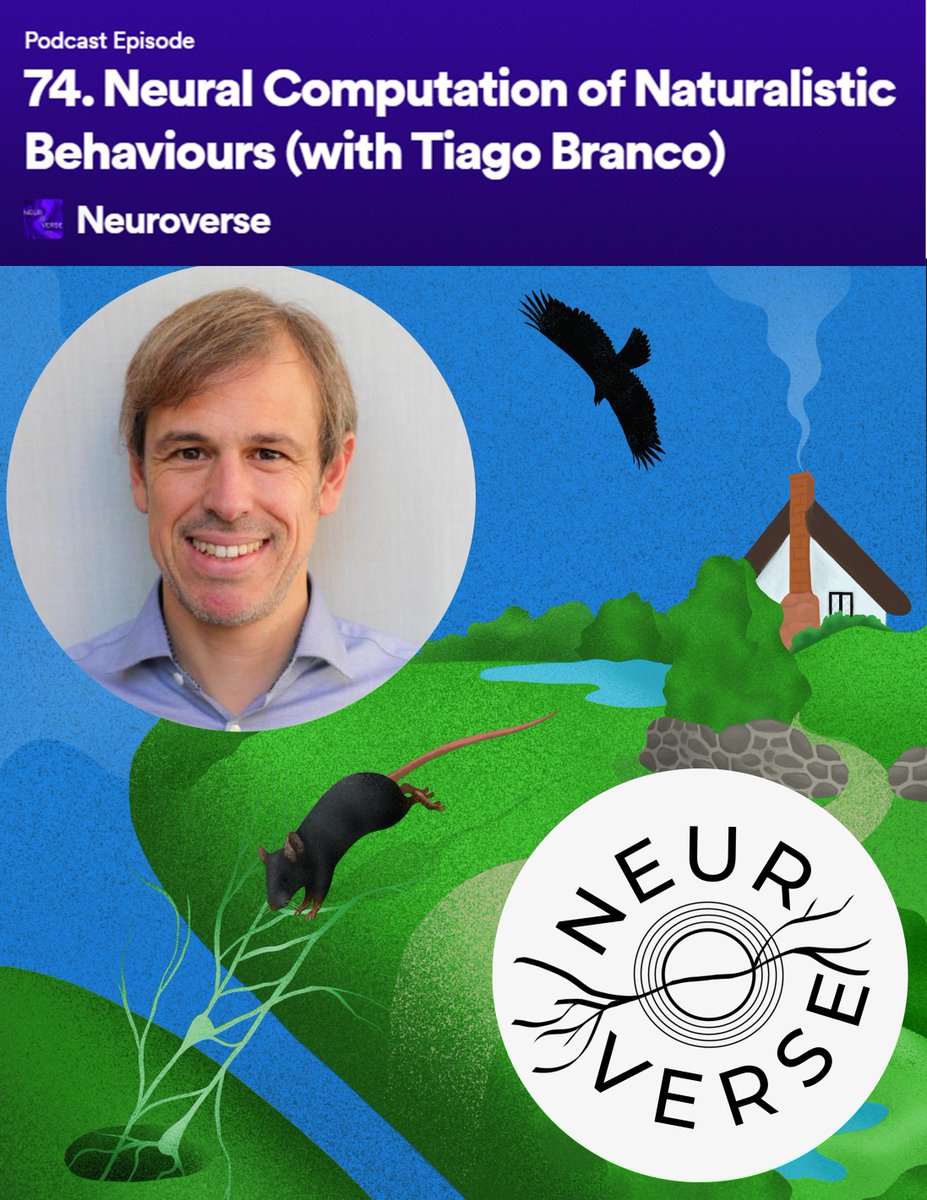 In our latest episode, we were joined by Professor Tiago Branco @SWC_Neuro to discuss different approaches to understanding the neural basis of behaviour, how rodents respond instinctively to imminent threat, neural computations across scales, and more! ⬇️ spotifyanchor-web.app.link/e/117elLAbyIb