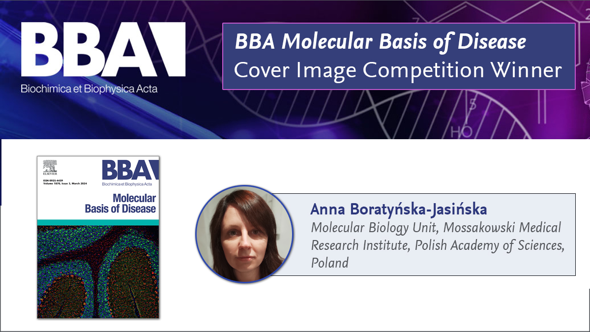 Congratulations to BBA Cover Image Competition winner Anna Boratyńska-Jasińska whose winning image is displayed on the journal cover of BBA Molecular Basis of Disease. Send in your own entry for the 2025 BBA Cover Image Competition > spkl.io/60154LQdZ