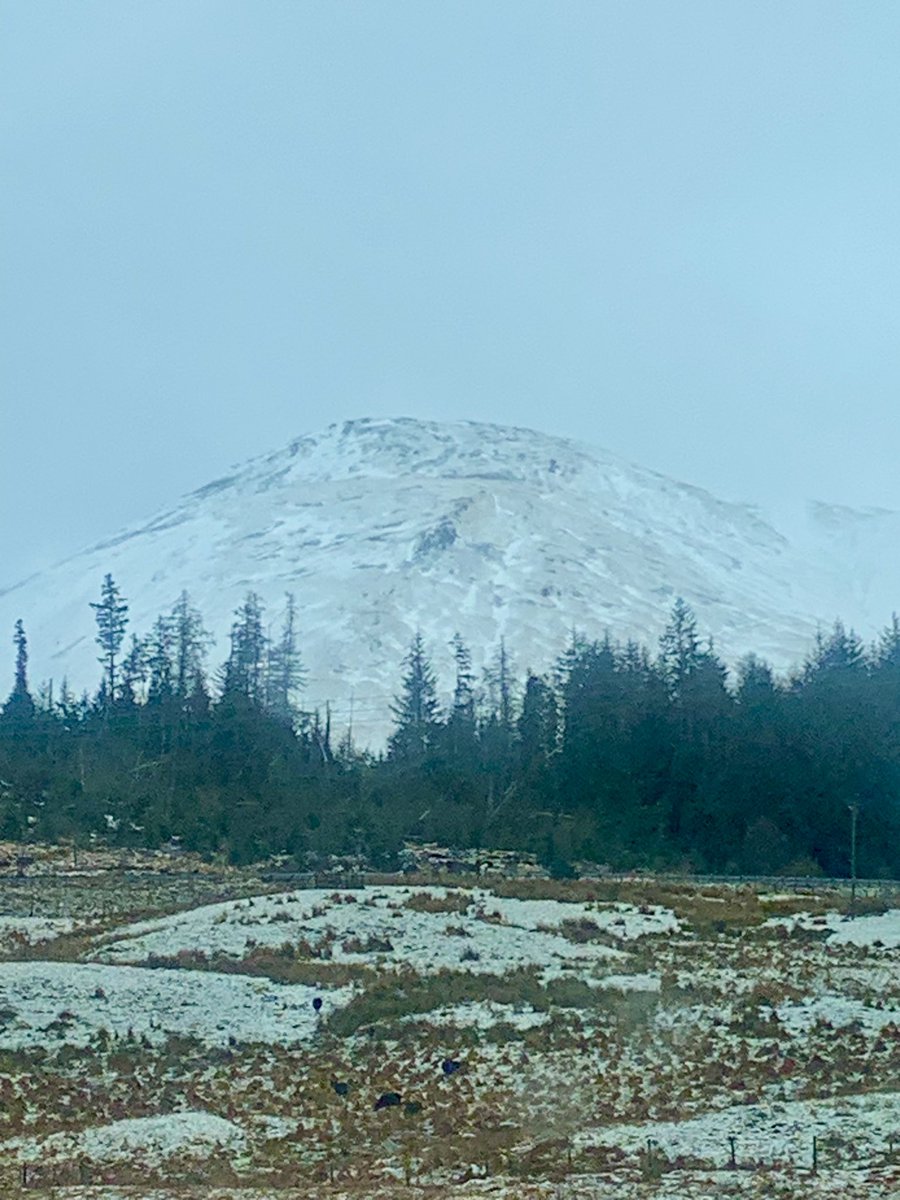 pandapoo67's tweet image. #glencoe this morning! Magnificent