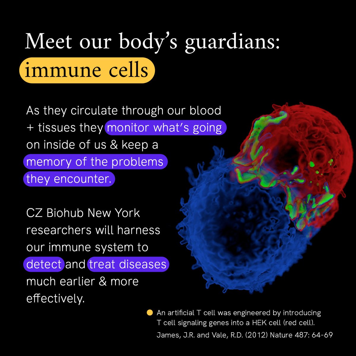 Can we harness the immune system to monitor health & eradicate disease? #CZBiohubNY will tackle this ambitious challenge