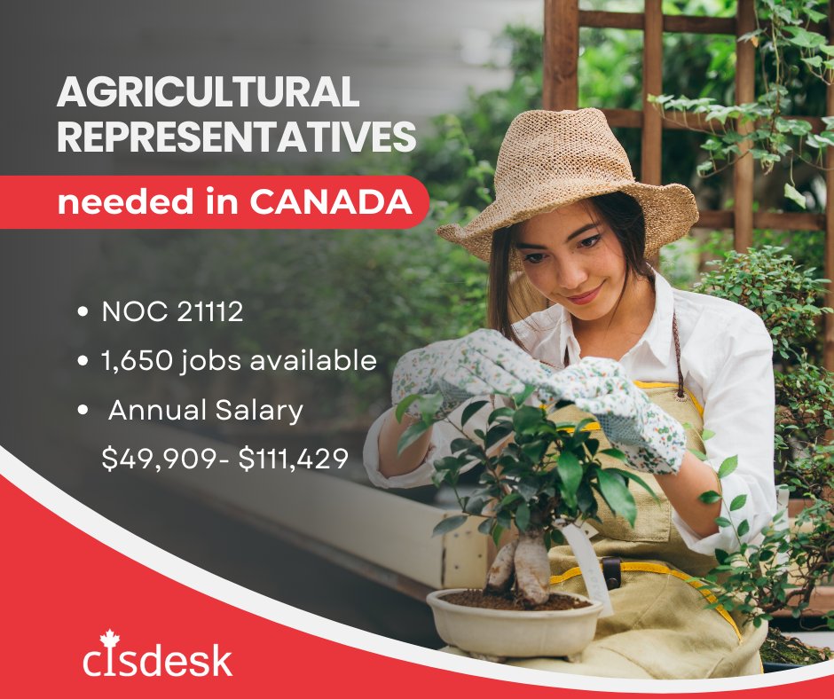🌾 Canada's agricultural industry is booming and in need of passionate representatives! 🇨🇦 Let CIS Desk help you cultivate your career in this thriving sector. 
.
#jobopportunities #canadajobs #newbeginnings #cisdesk #CISDesk #immigrationlawyer #rcic #ircc #cisdeskreviews #visa