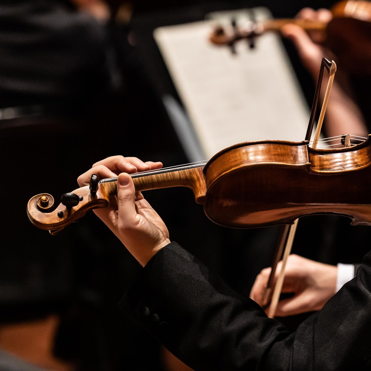 🎻 Job Opportunity: Could you be our next Principal Second Violin? Find out more: rsno.org.uk/job/principal-…