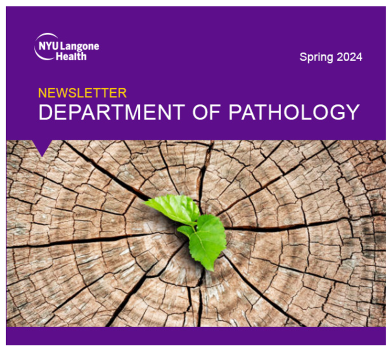 Our Department of Pathology Spring Newsletter is out. Stay updated on the latest research, events, and achievements within our community. Don't miss out! #Pathtwitter #PathX mailchi.mp/6f8eeb80483a/p…