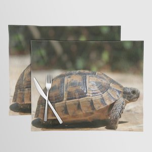 Sideview of A Walking Turkish #Tortoise Close Up #Coaster #taiche #Society6 #coasters #coaster #coasterset #giftideas #gifts #interiordesign #decor #homedecor #tabledecor #drinkcoasters #beercoasters #coffeecoasters #homeaccessories society6.com/product/sidevi…