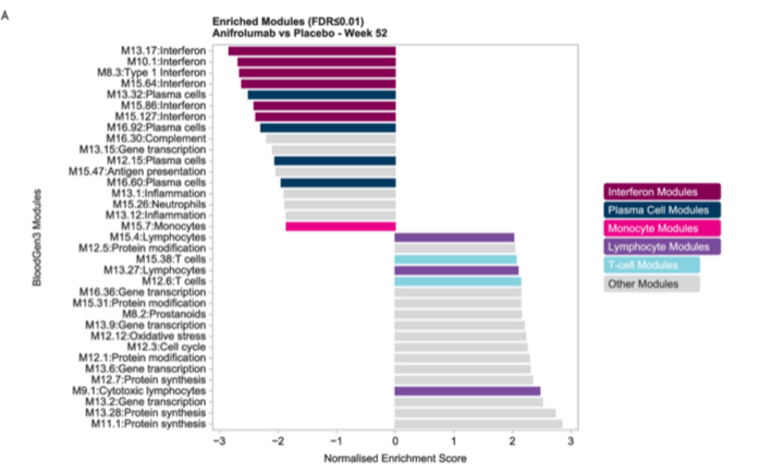 Modulation of immunological pathways by Type I interferon blockade with #anifrolumab in the 🌷1 and 🌷🌷2 trials in #lupus. ard.bmj.com/content/early/…