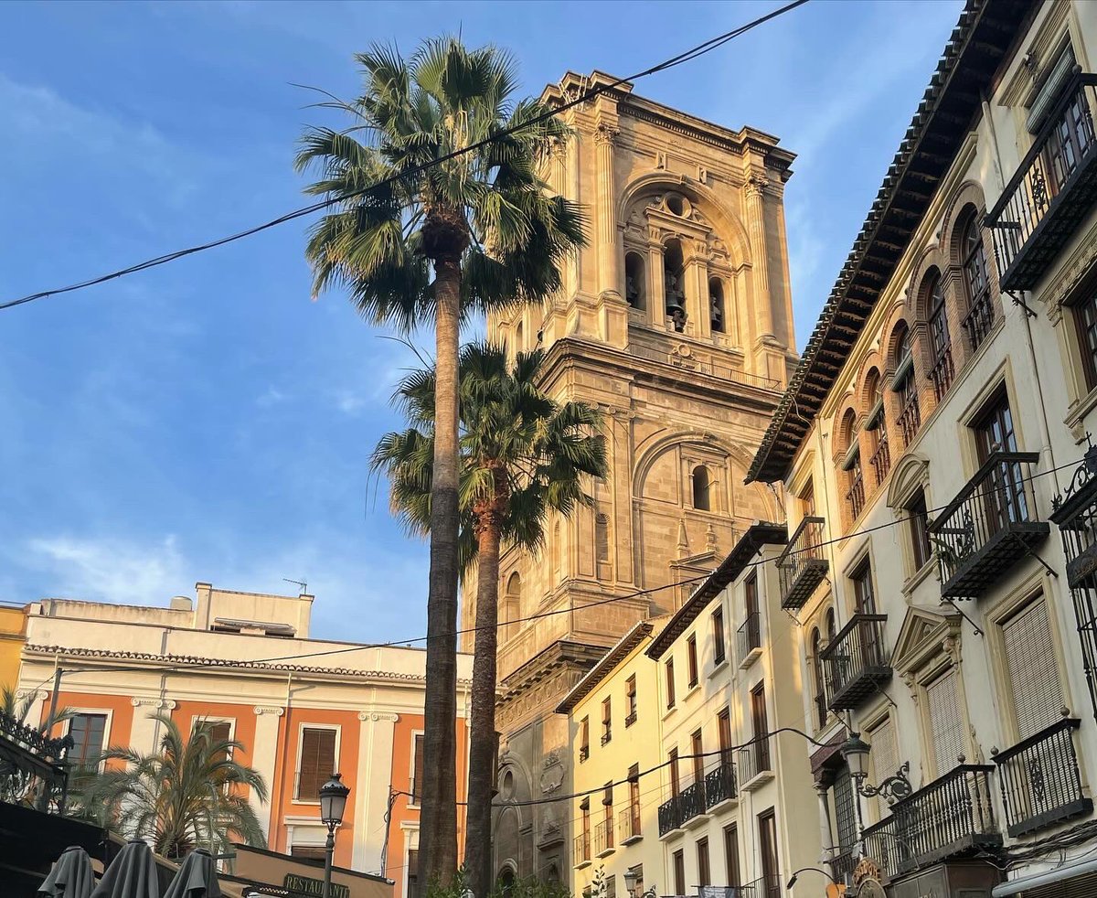 Dr. Laura Mayron tweet media