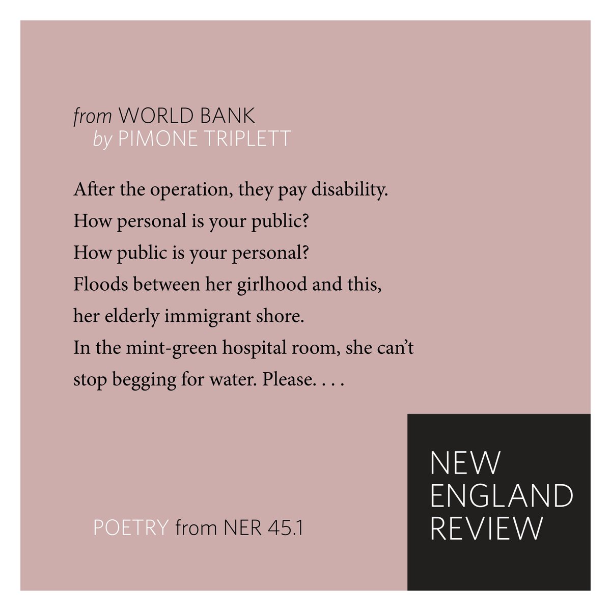 From the poem 'World Bank' by Pimone Triplett (@pimone_triplett), new in our spring issue. To read the poem in full, order your copy of NER 45.1: bit.ly/NERsubscribenow