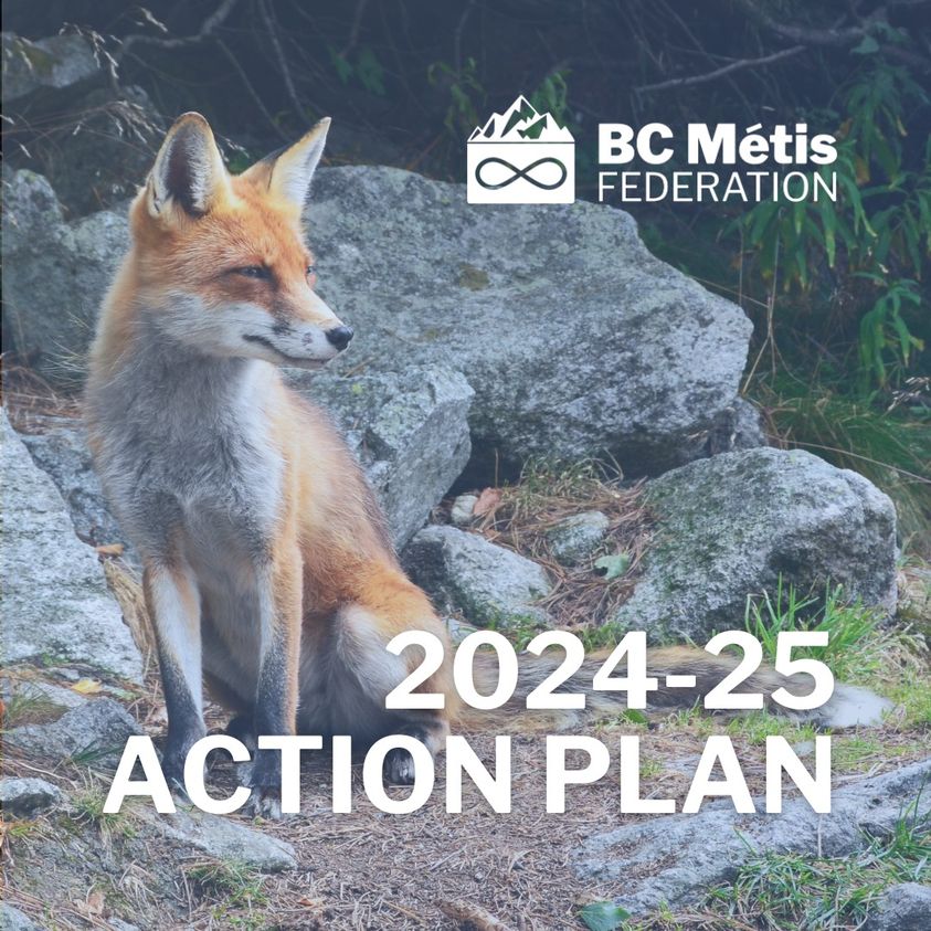 #BCMF has released its 24-25 Action Plan. BCMF looks ahead to another year of success in promoting #Métis resurgence, elevating member & community support, and building capacity. The 2024-25 Action Plan can be downloaded from the BCMF website: bit.ly/bcmf-2024-25