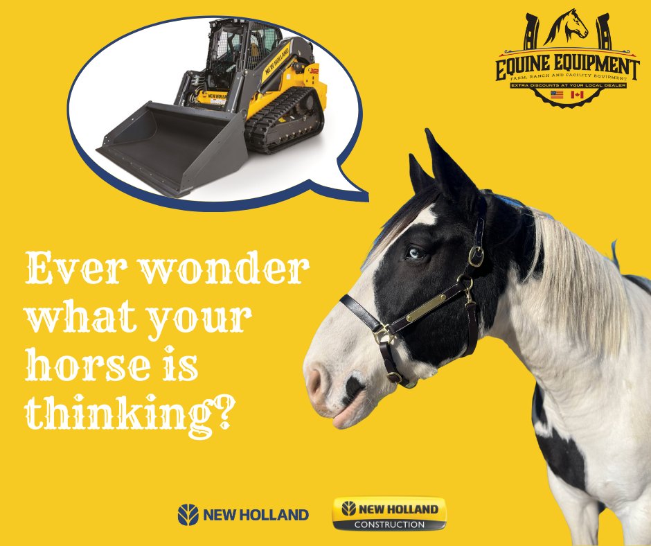 We bet they're thinking about the great deals you could get on equipment to revitalize your arena for Spring! Winter can be hard on your footing- your horses will thank you for an arena refresh! 
Save on New Holland at your local dealer.
Call Equine Equipment at 877-905-0004!
