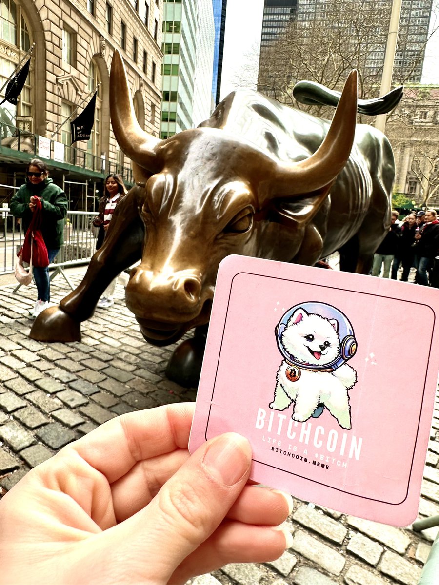 Best caption earns points in our quest! 

Comment below and retweet! 🐶🤠💃🚀🥂 

#WallStreet #bullmarket #Bitcoin #crypto #NFTNYC #NFTNYC2024 #Bitchcoin #NYC #BTC #Womenincrypto