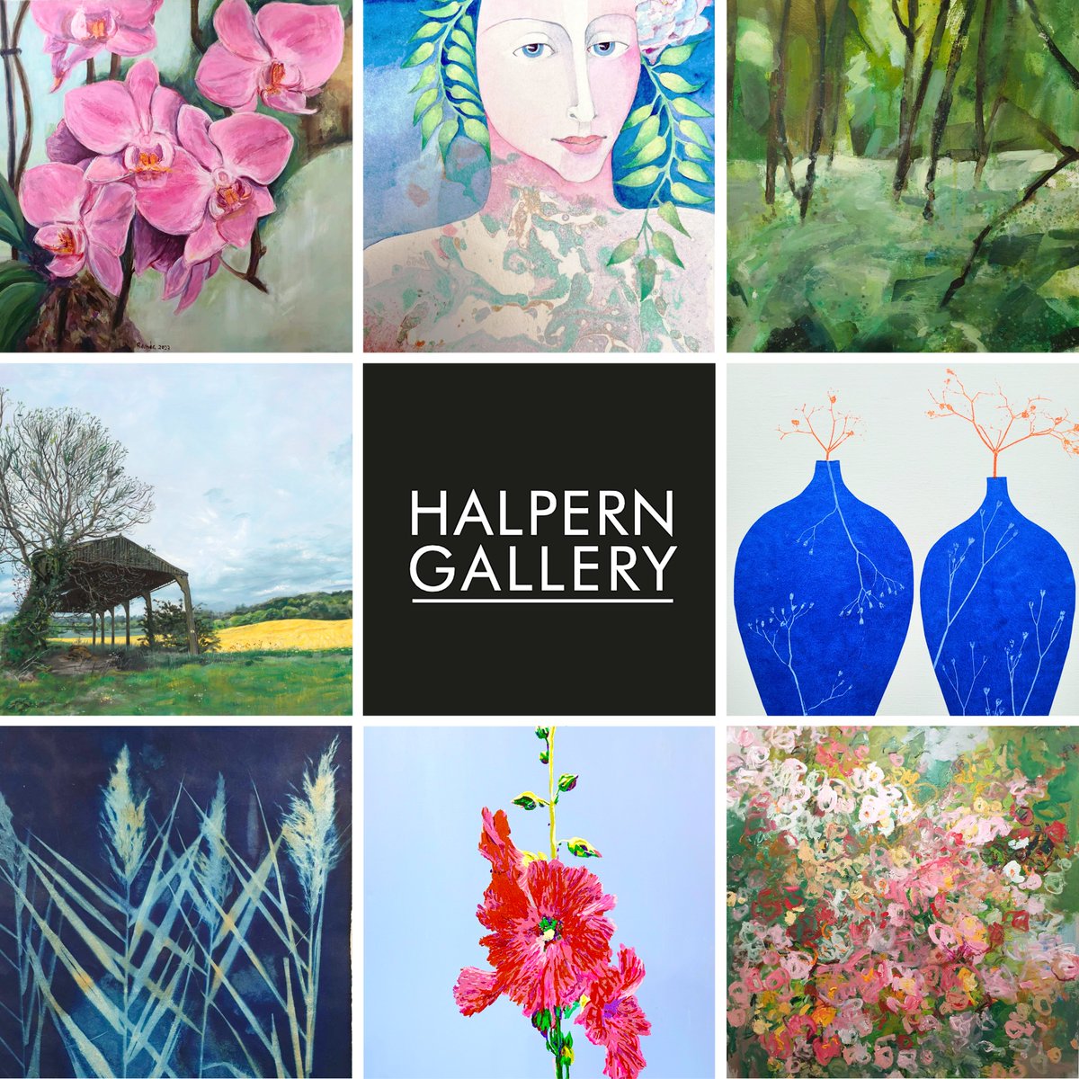 Now showing in the Halpern Galleries: Bloom 🌷 Spring is in the air and our galleries reflect the burgeoning blooms. Halpern Gallery - open Mon to Sat, 10am - 4pm. Halpern Pop - open Mon to Sun, 10am - 4pm. #Bloom #Floral #Spring #Exhibition #Gallery #ArtForSale #Flowers #Art