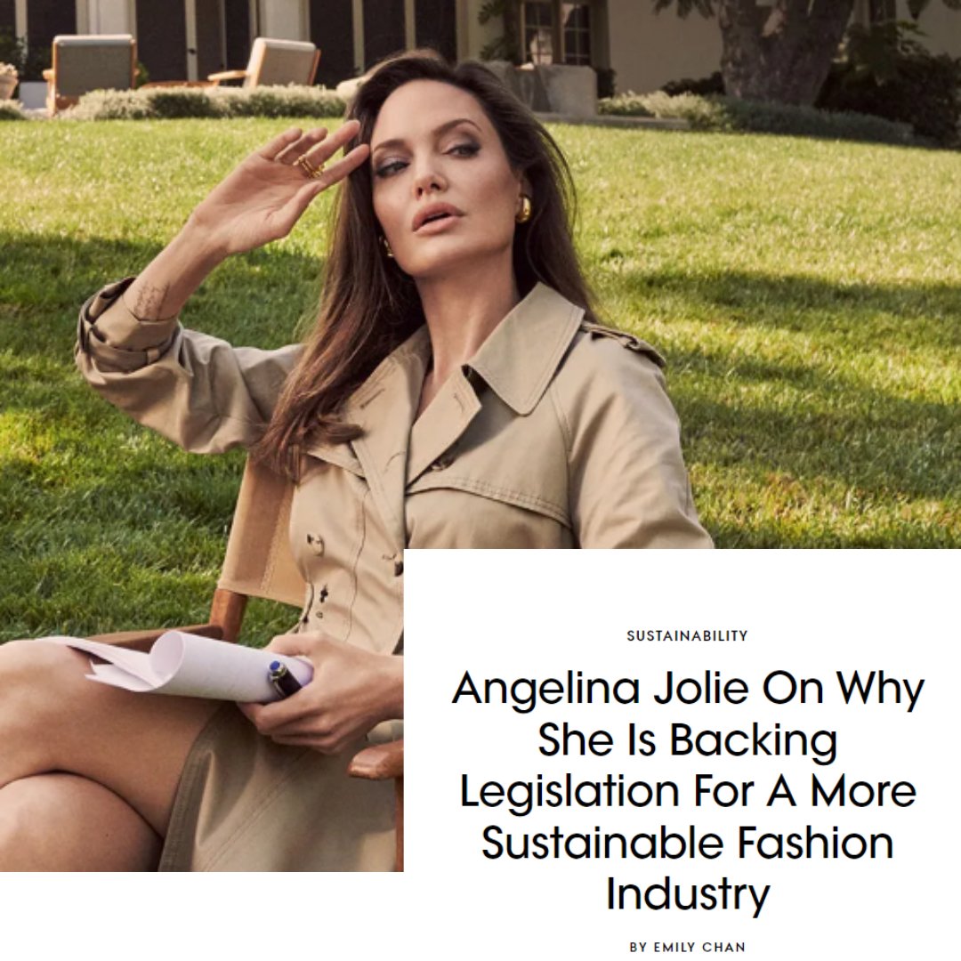 Grateful for this support of my Fashion Act bill (A4333) from Angelina Jolie! More and more brands, designers, and organizations are joining in support to regulate the environmental impacts of the fashion industry and to improve labor practices. vogue.co.uk/article/angeli…