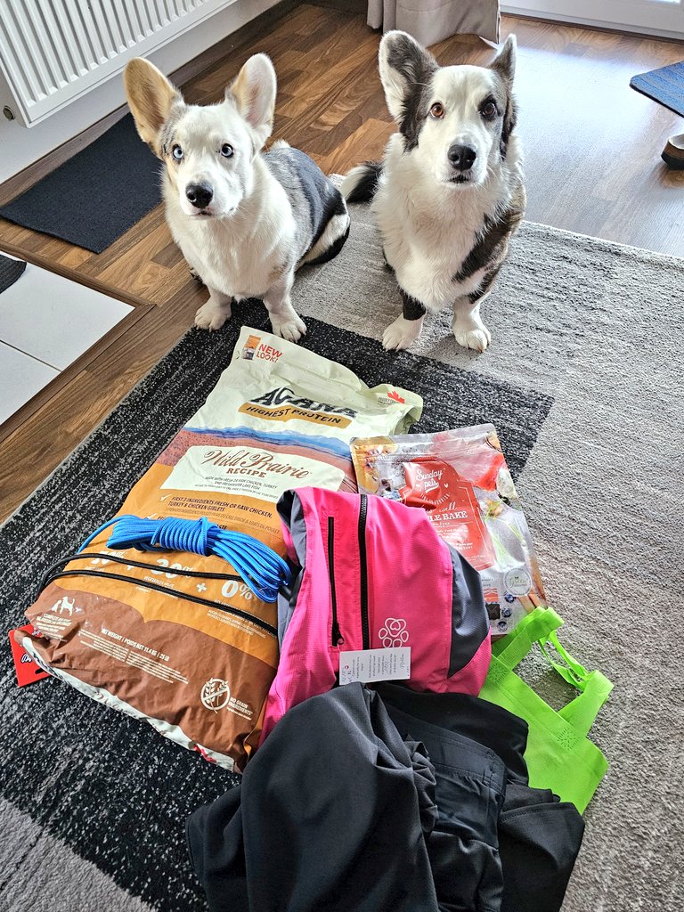 MorriganGoddess's tweet image. Tak #ForPets 2024 za nami ❤️ pořídili jsme skoro vše, co jsme chtěli, a podařilo se nám udržet nákupní seznam😂🙈
Jako bonus mají lišky zas na měsíc co jíst 🤪❤️
#DoubleTroubleCorgi #TwiLišky #CorgiCrew