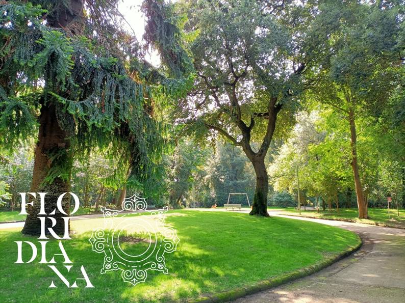 Con Fido in Floridiana! Da lunedì 8 aprile 2024, Villa Floridiana cambia il regolamento del parco e apre i suoi cancelli anche ai nostri amici a quattro zampe. museicampania.cultura.gov.it/con-fido-in-fl…