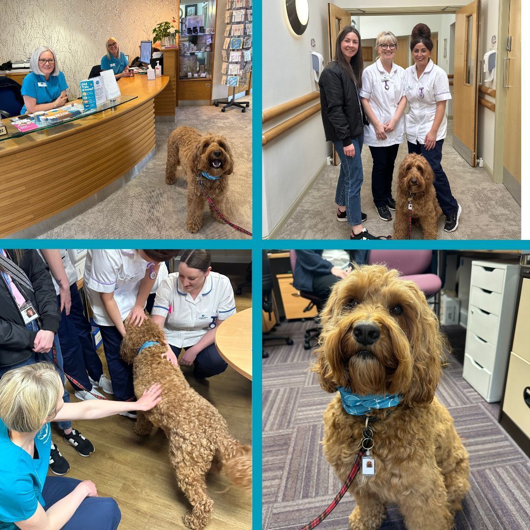 We were delighted to welcome our new Strathcarron Hospice TheraPet, Clyde, and his owner Laura, for their first visit to meet our patients, families and staff this afternoon ❤️ Clyde brightened everyone's day here at the Hospice and we can't wait to see him on a regular basis 🤩