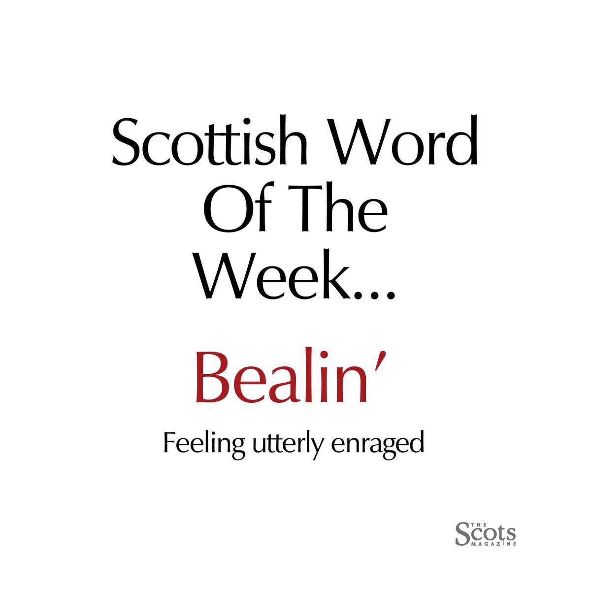 #Scottishwordoftheweek is bealin'. If you're bealin', you're furious! This can also be spelled as beelin'. Example sentence: 'Cannae believe I missed it. I'm bealin'!'