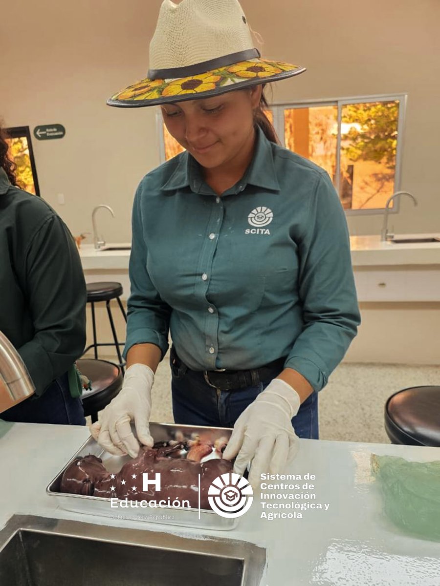 scitahonduras's tweet photo. 🔬🐄 ¡En el laboratorio de Biología de SCITA! 🌿 

Estudiantes aprenden sobre la preservación de un feto de vaca y diferencian glóbulos rojos en diversas especies. 

¡Educación científica en acción! 📚✨ #Biología #EducaciónCientífica 🔬🐾 https://t.co/3ObWBz3tPu