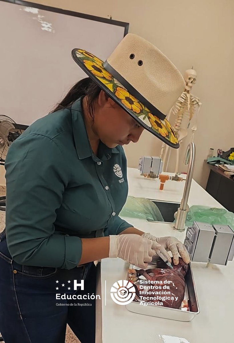 🔬🐄 ¡En el laboratorio de Biología de SCITA! 🌿 

Estudiantes aprenden sobre la preservación de un feto de vaca y diferencian glóbulos rojos en diversas especies. 

¡Educación científica en acción! 📚✨ #Biología #EducaciónCientífica 🔬🐾