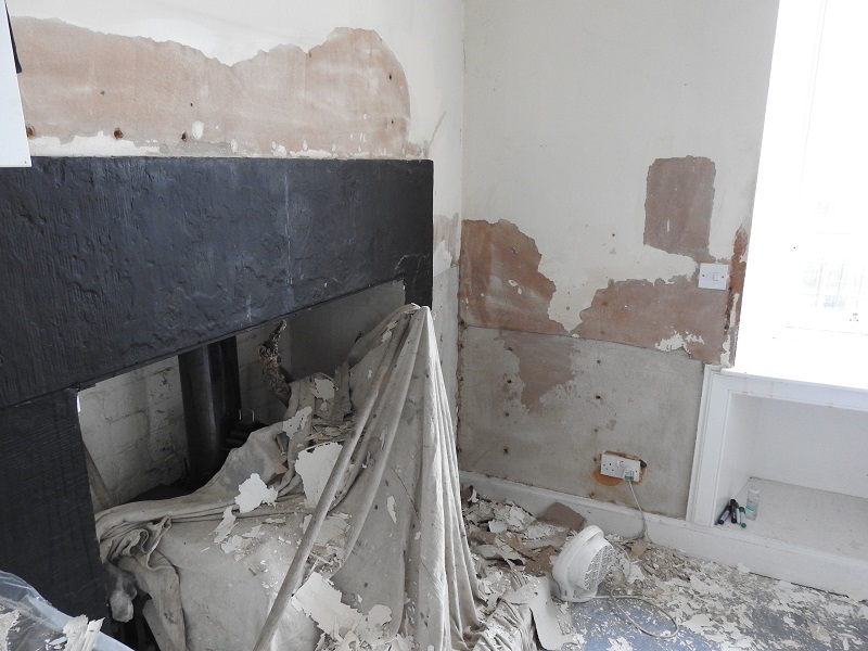 David Steel tweet media