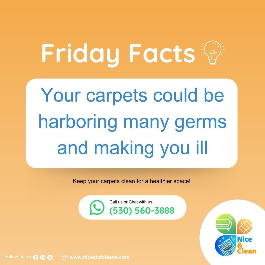 Your carpet serves as a filter, capturing harmful pollutants like pollen, fungi, chemicals, and bacteria. 🌿🛋️

#niceandclean #CarpetCleaning #IndoorAirQuality
.
Call us or Chat with us on Whatsapp: (530) 560-3888 | (415) 941-8921 
Visit: niceandcleans.com