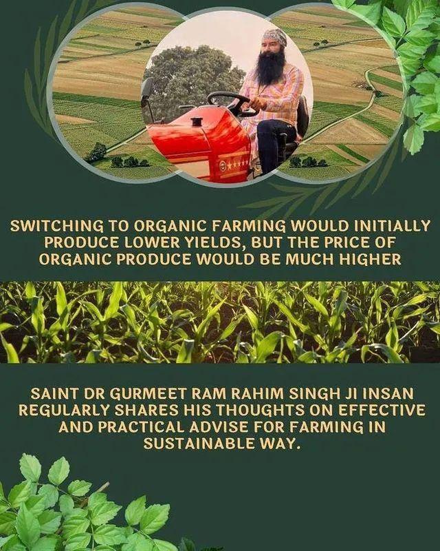 Adopt the latest technology of farming, earn more profit in less cost:- #SaintDrMSG. 
#AgricultureTips
#AgricultureTipsBySaintMSG
#OrganicFarming #ScientificFarming 
#FarmingTips #Farming #DeraSachaSauda