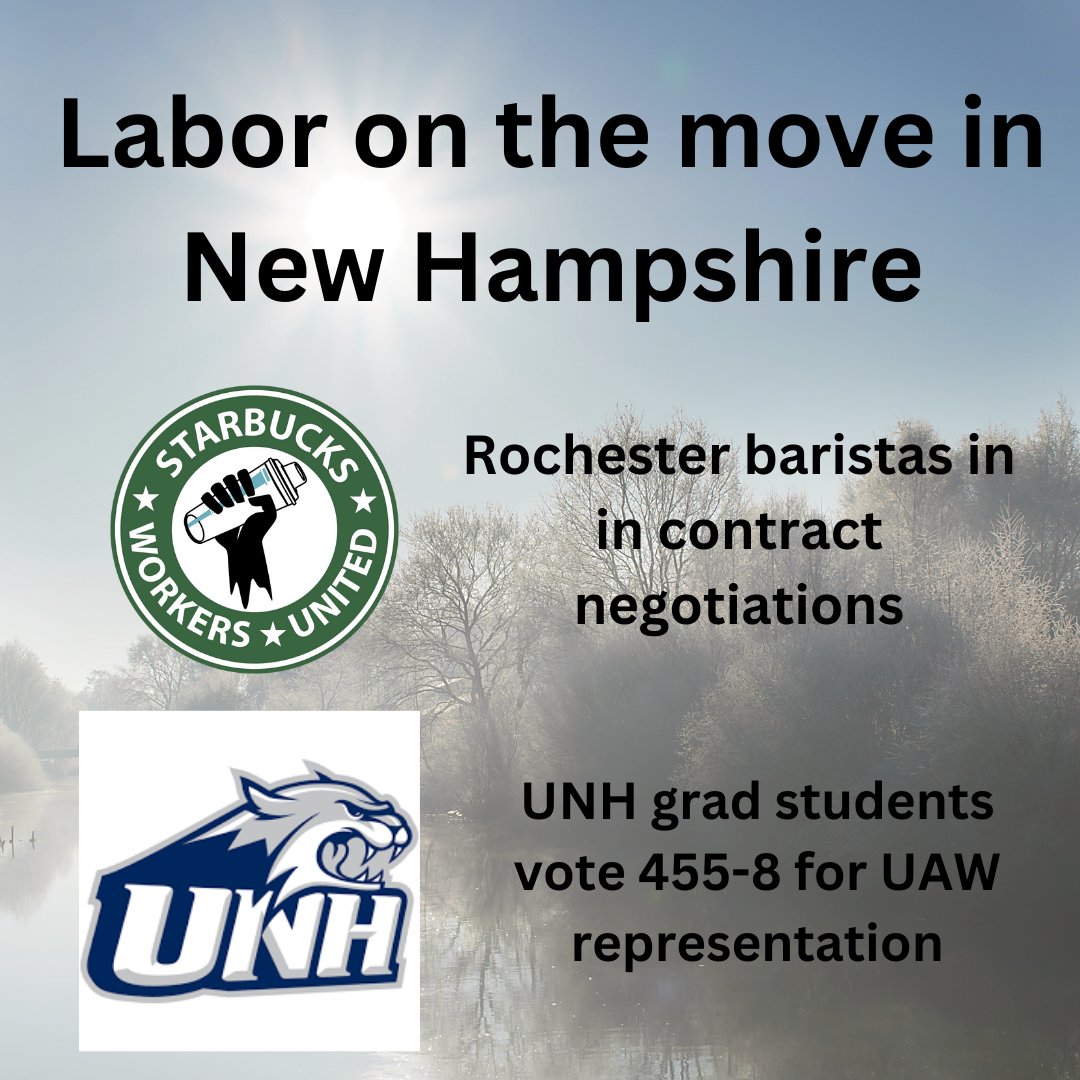 Mark Hayward tweet media