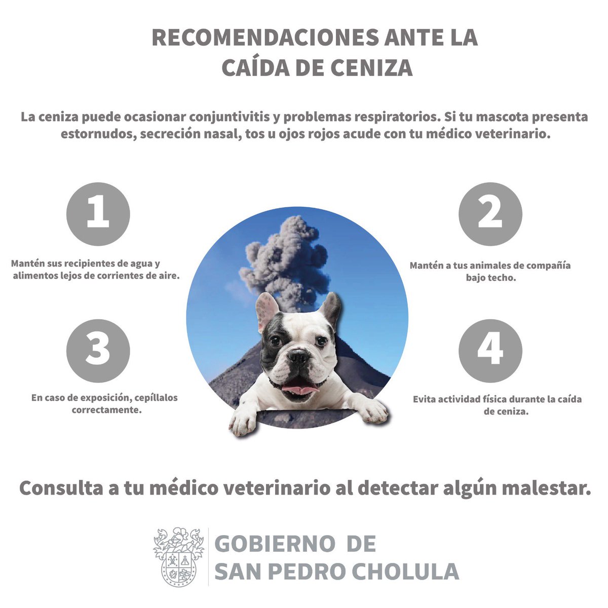#Entérate| ¡Protege a tu familia y a tus mascotas🐶🐱 de la caída de ceniza volcánica!
Toma en cuenta las siguientes recomendaciones. 🗻👇🏻
Recuerda que ante cualquier emergencia puedes llamar al 2222470097. ☎️