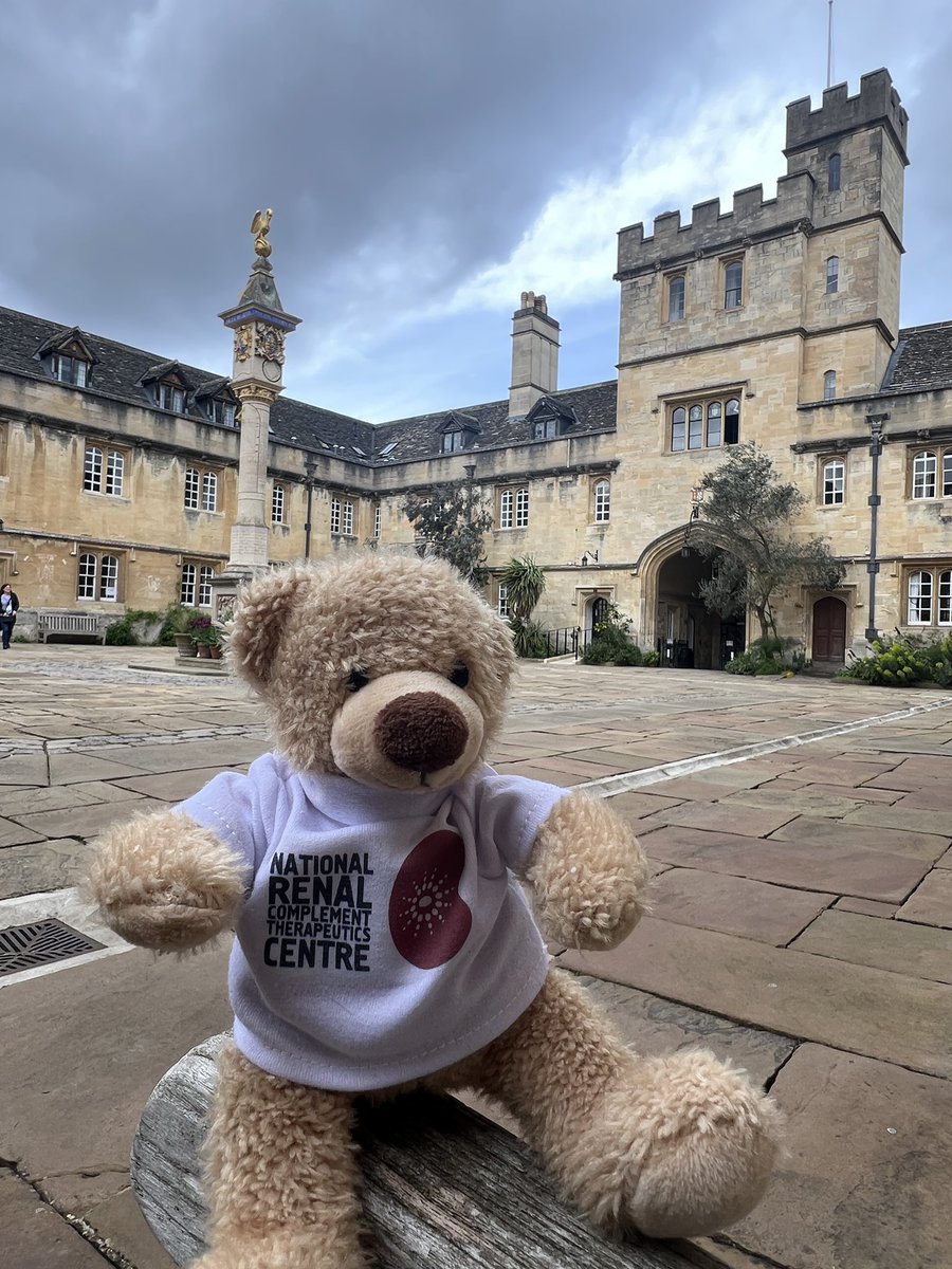 SeAmHUS is in Oxford for the @UKKidney advanced nephrology course 2024! See you there.