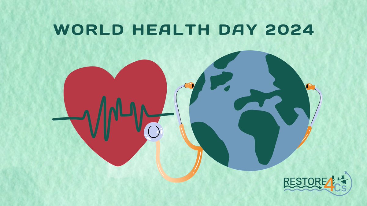 Happy #WorldHealthDay2024 🌎⚕️ from @RESTORE4Cs❕ #Wetlands are more than just picturesque scenes. They play a crucial role in #worldhealth & are intricately connected to our wellbeing✔️ Read more about #RESTORE4Cs' contribution to a nature-positive 🌍▶️restore4cs.eu