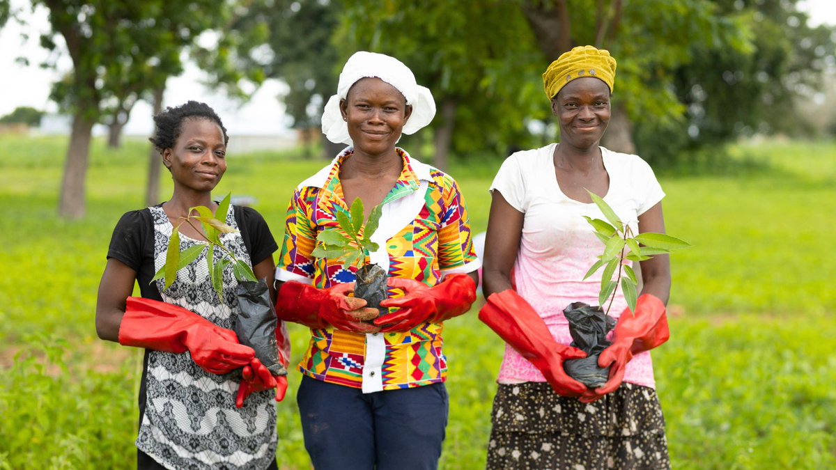 When women thrive, trees thrive. As the #ClimateCrisis continues in African drylands, we know that women are powerful agents of change. When women come together, they can deliver long-lasting change for their communities & the planet 🌳 How? Find out 👇 treeaid.org/springappeal/?…