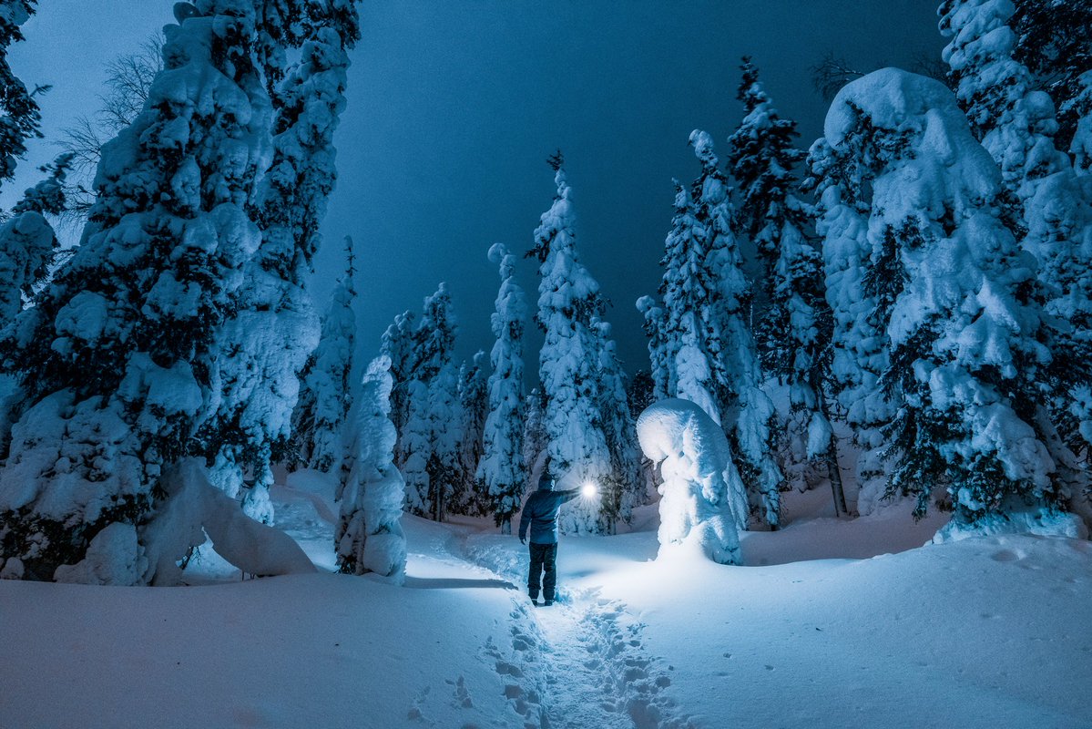 Gm Photographers, Artists, and Collectors This is me in Finnish Lapland one month ago🤗