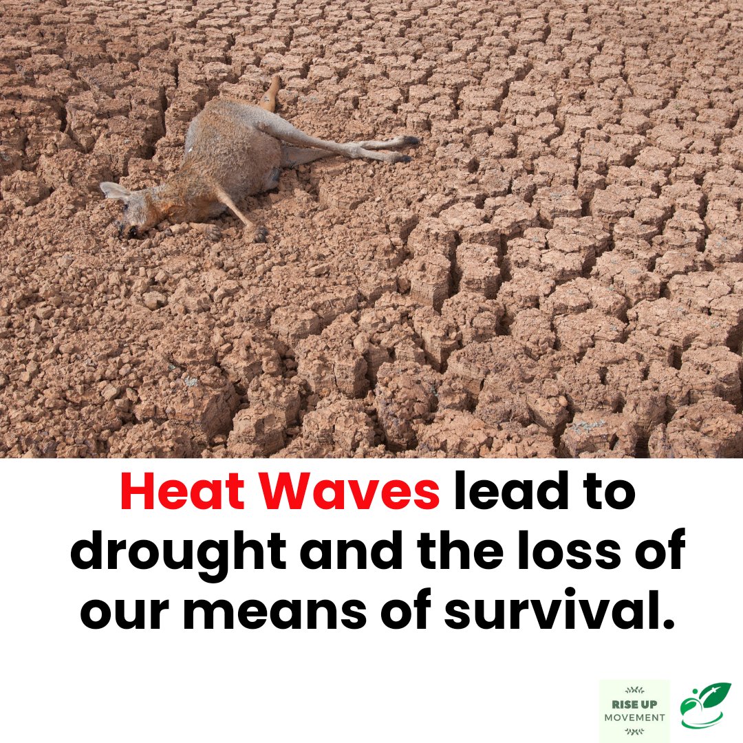 Heat waves lead to drought and the loss of our means of survival. The economy of many African countries is based on agriculture. What will we do if the heat waves continue without climate action ? Action is needed today. #ActNowOnHeatwaves #RiseUpOnHeatwaves
